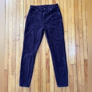Patagonia Corduroy Pants Women’s 28 Everyday Cords Obsidian Plum Purple Stretch